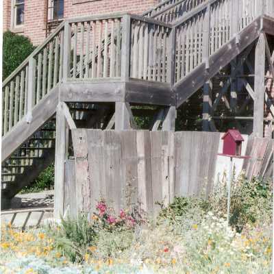 Dunes Discovery Center garden 6/98.