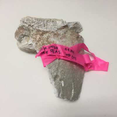 Parts of Albin's (Shpinx) body, no head attached, Ten Commandments