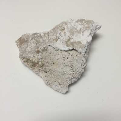 Parts of Albin's (Shpinx) body, no head attached, Ten Commandments