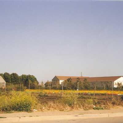 Waller Flower Seed Company, 400 Obispo Street, Guadalupe