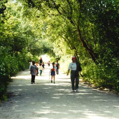 West Newlove Elementary School Field Trip to the Dunes Center and Oso Flaco Lake May 2001; 4" x 6" color photograph