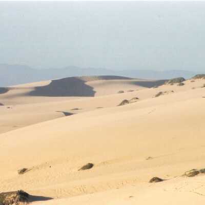 Mussel Rock Dunes Undated Photograph