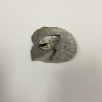 Rounded Rock, Waves