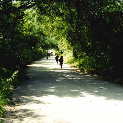 West Newlove Elementary School Field Trip to the Dunes Center and Oso Flaco Lake May 2001; 4" x 6" color photograph