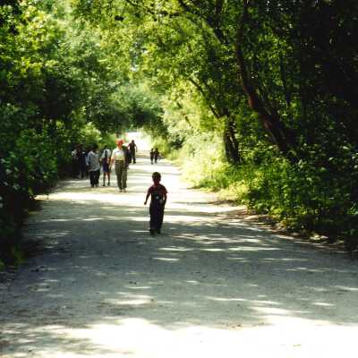 West Newlove Elementary School Field Trip to the Dunes Center and Oso Flaco Lake May 2001; 4" x 6" color photograph