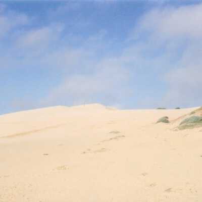 Mussel Rock Dunes Undated Photograph