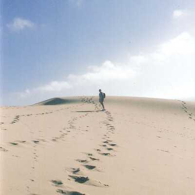 Mussel Rock Dunes Undated Photograph
