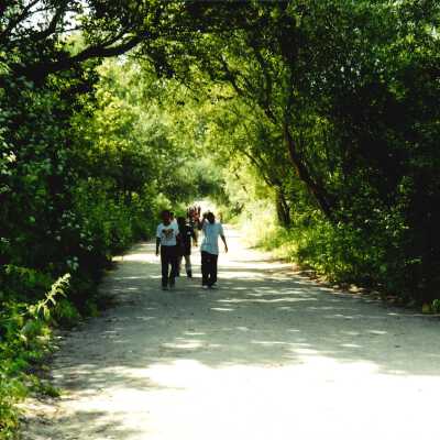 West Newlove Elementary School Field Trip to the Dunes Center and Oso Flaco Lake May 2001; 4" x 6" color photograph
