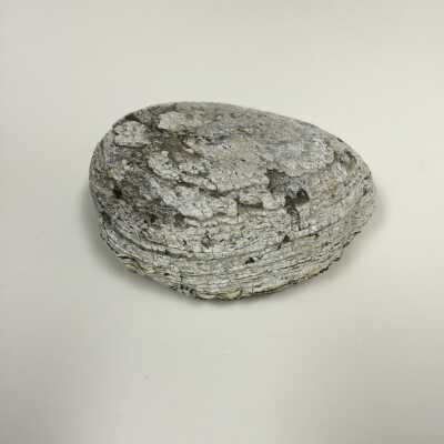 Rounded Rock