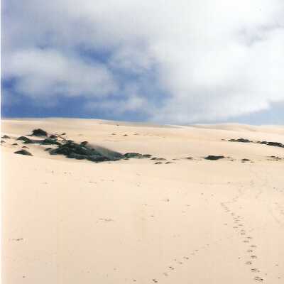 Mussel Rock Dunes Undated Photograph
