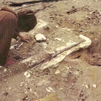 1997 Ten Commandments excavation. Archeologists digging up large plaster pieces.