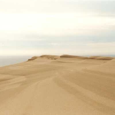 Mussel Rock Dunes Undated Photograph