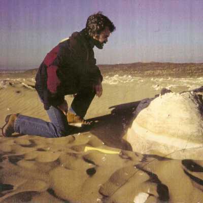 1997 Ten Commandments excavation. Man overlooking excavation of large plaster piece.