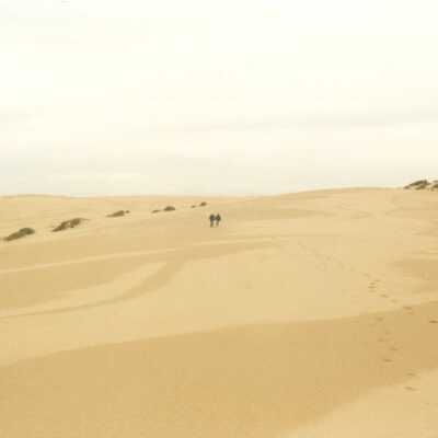 Mussel Rock Dunes Undated Photograph