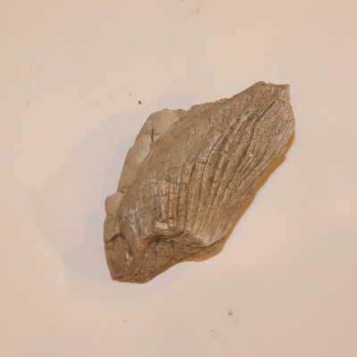 Rock, Wave-Like Layers