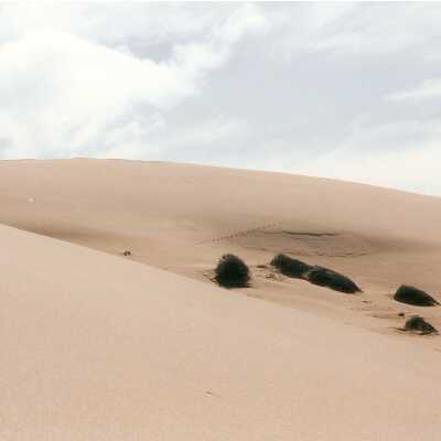Mussel Rock Dunes Undated Photograph