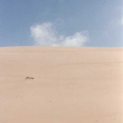 Mussel Rock Dunes Undated Photograph