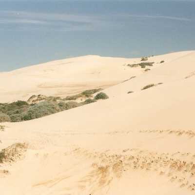 Mussel Rock Dunes Undated Photograph