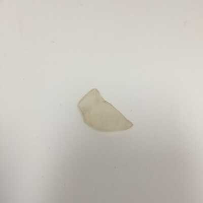 Shard From Milk Bottle
