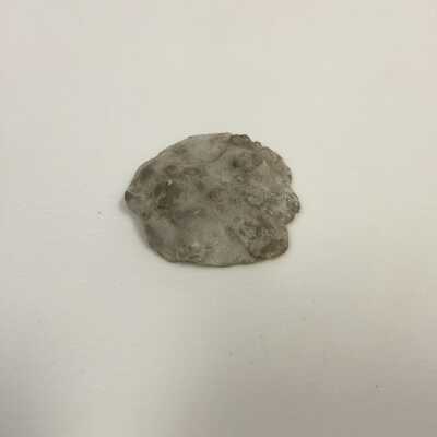 Paw Imprint