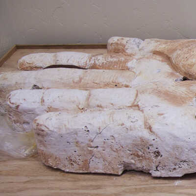 Large plaster hand