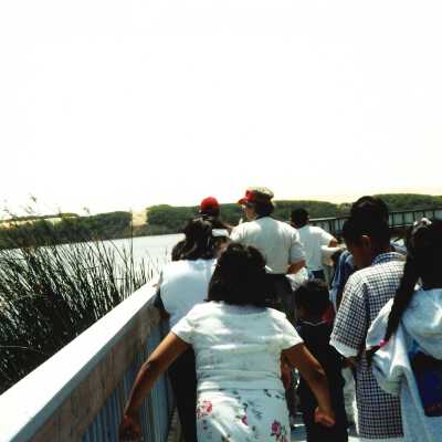 West Newlove Elementary School Field Trip to the Dunes Center and Oso Flaco Lake May 2001; 4" x 6" color photograph