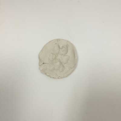 Coyote Paw Print