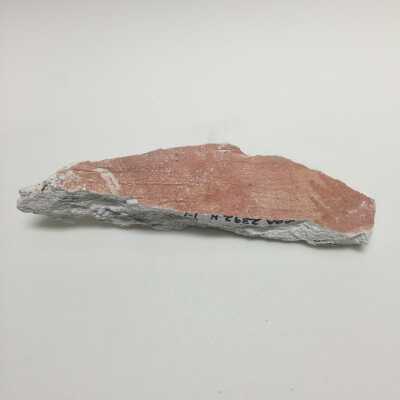 Hind quarter of sphinx, Ten Commandments