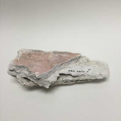 Hind quarter of sphinx, Ten Commandments