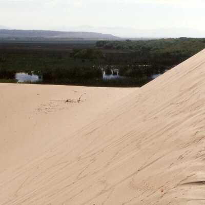 Coreopsis Lake and Dune