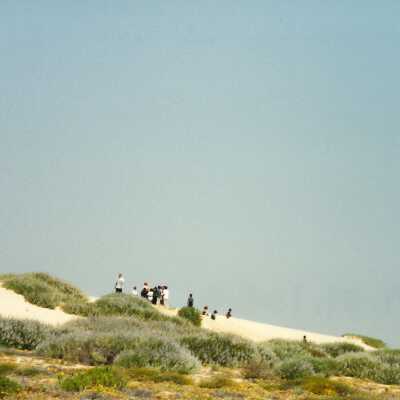 West Newlove Elementary School Field Trip to the Dunes Center and Oso Flaco Lake May 2001; 4" x 6" color photograph