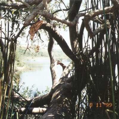 Oso Flaco Lake Color Photograph
