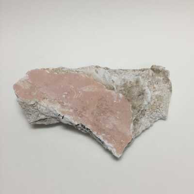 Hind quarter of sphinx, Ten Commandments