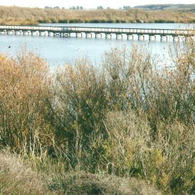 Oso Flaco Lake Color Photograph