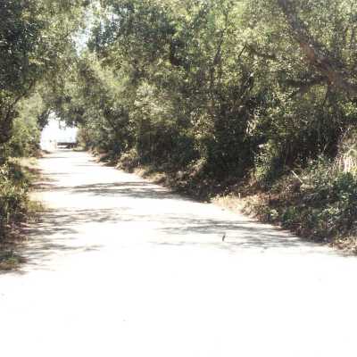 Oso Flaco Lake Color Photograph