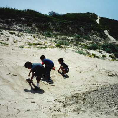 West Newlove Elementary School Field Trip to the Dunes Center and Oso Flaco Lake May 2001; 4" x 6" color photograph