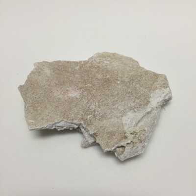 Hind quarter of sphinx, Ten Commandments