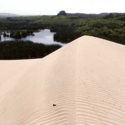 Oso Flaco Lake Color Photograph