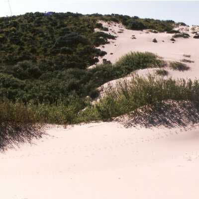 Oso Flaco Lake Color Photograph