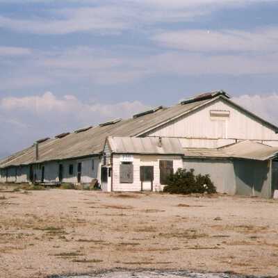 S.P. Milling, 720 Guadalupe Street, built in the late 1890s, milled beams, grain, etc, had lumber, chickens - and supplies.  Undated 4" x 6" color photograph