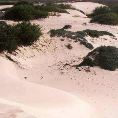 Oso Flaco Lake Color Photograph