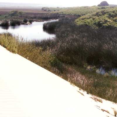 Oso Flaco Lake Color Photograph