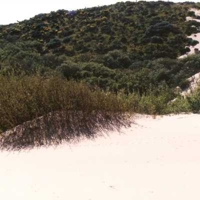 Oso Flaco Lake Color Photograph
