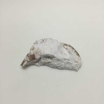 Pharoah head, Ten Commandments