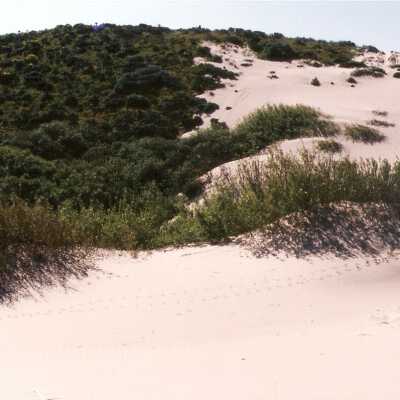 Oso Flaco Lake Color Photograph