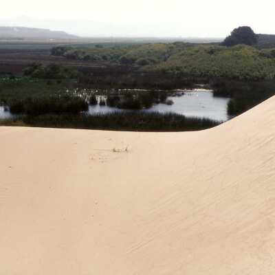 Oso Flaco Lake Color Photograph