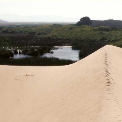 Oso Flaco Lake Color Photograph