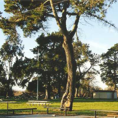 LeRoy Park, 4665? 11th Street, Guadalupe