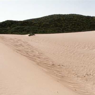 Oso Flaco Lake Color Photograph