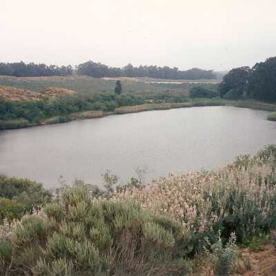Black Lake by Jack Beigle